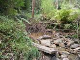 Upstream