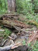 Downstream