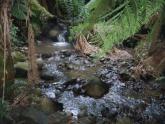 Upstream
