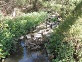 Downstream