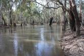 Upstream