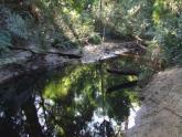 Upstream