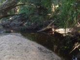 Downstream