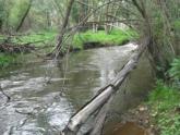 Upstream