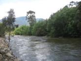 Downstream