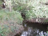 Downstream