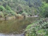 Upstream