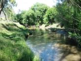 Downstream