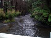 Downstream