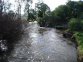 Downstream