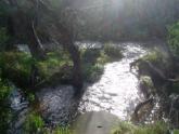 Downstream