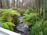 Downstream