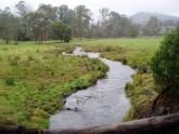 Upstream