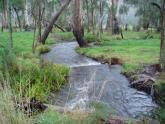 Downstream