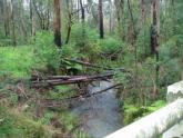 Downstream