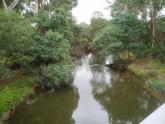 Upstream