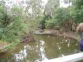 Downstream