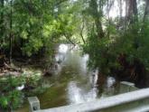 Downstream