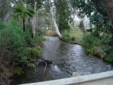 Upstream