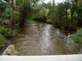 Downstream