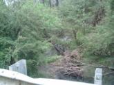 Downstream