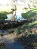 Upstream