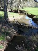 Downstream