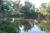Upstream