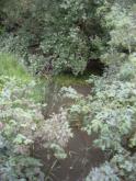 Upstream