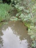 Downstream
