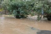 Downstream