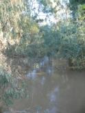 Downstream
