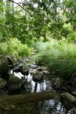 Downstream