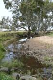 Upstream