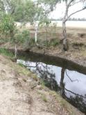 Upstream