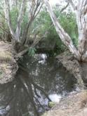 Downstream