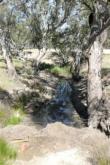Downstream