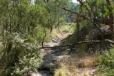 Upstream
