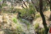 Upstream