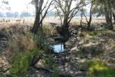 Upstream