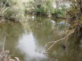 Upstream
