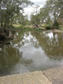 Downstream