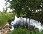 Downstream