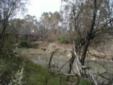 Upstream