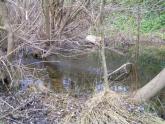 Upstream