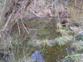 Downstream