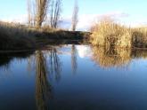 Upstream