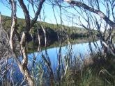 Downstream