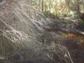 Upstream