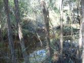 Downstream